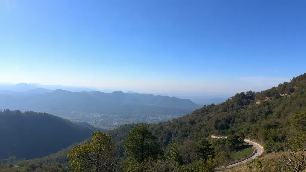 緑豊かな山道を歩くハイカーたち